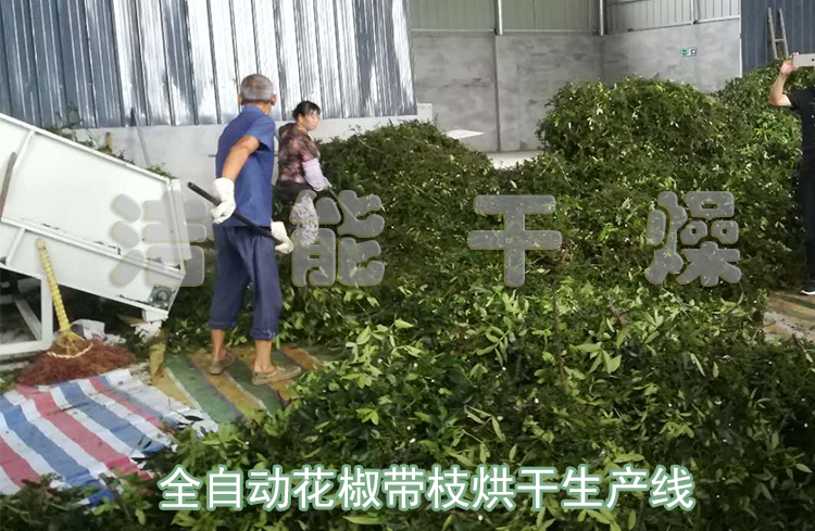 科技赋能质量提升 四川洁能助力青花椒产业破解发展瓶颈