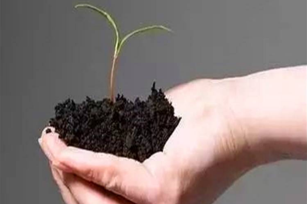 污泥不能做有机肥！但是污泥肥料可应用于绿植、土壤改良等行业